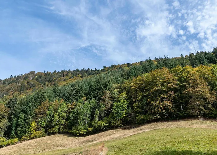 Gasthaus Zur Linde- Napf