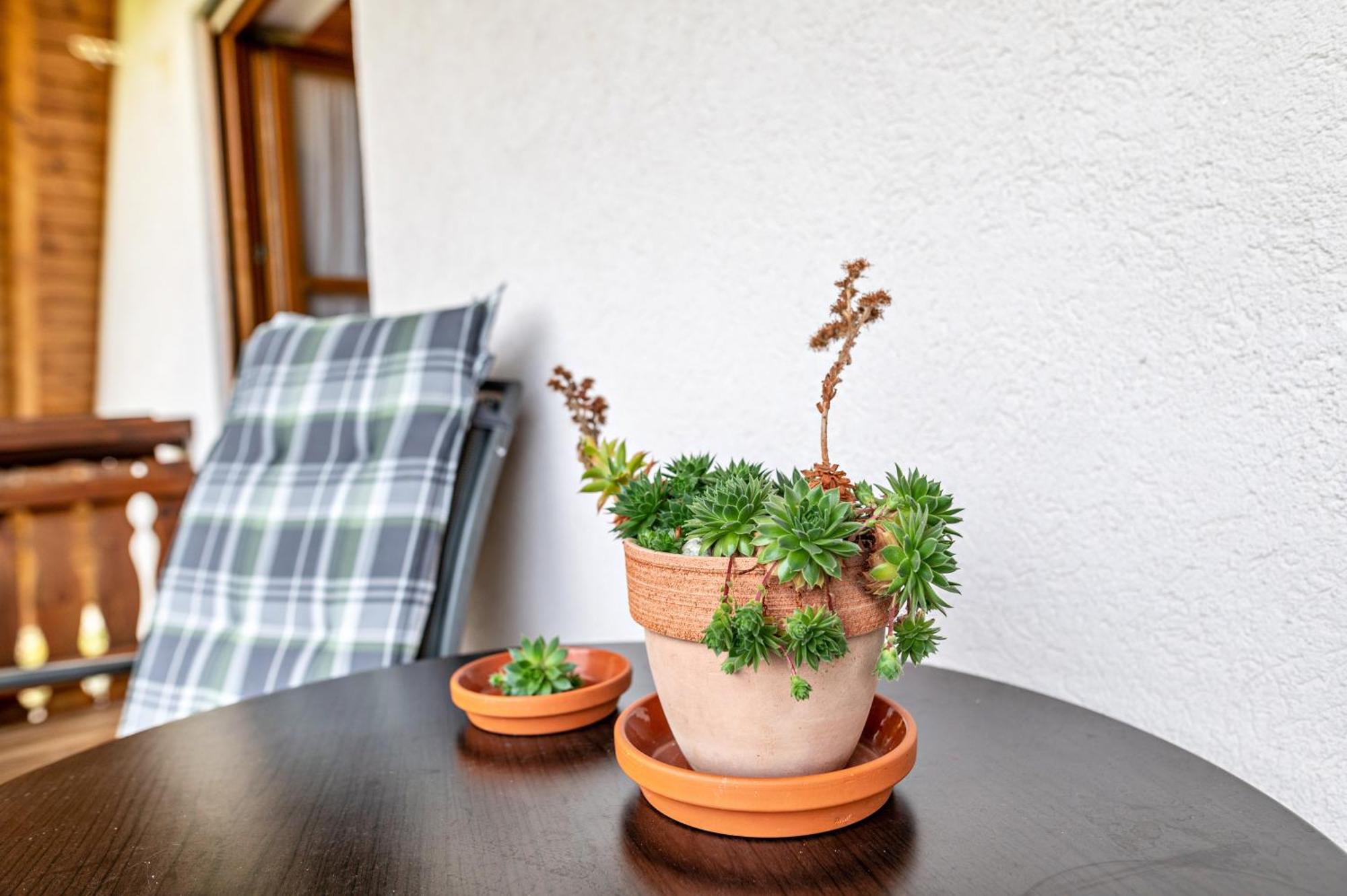 Appartement Zur Linde- Napf *