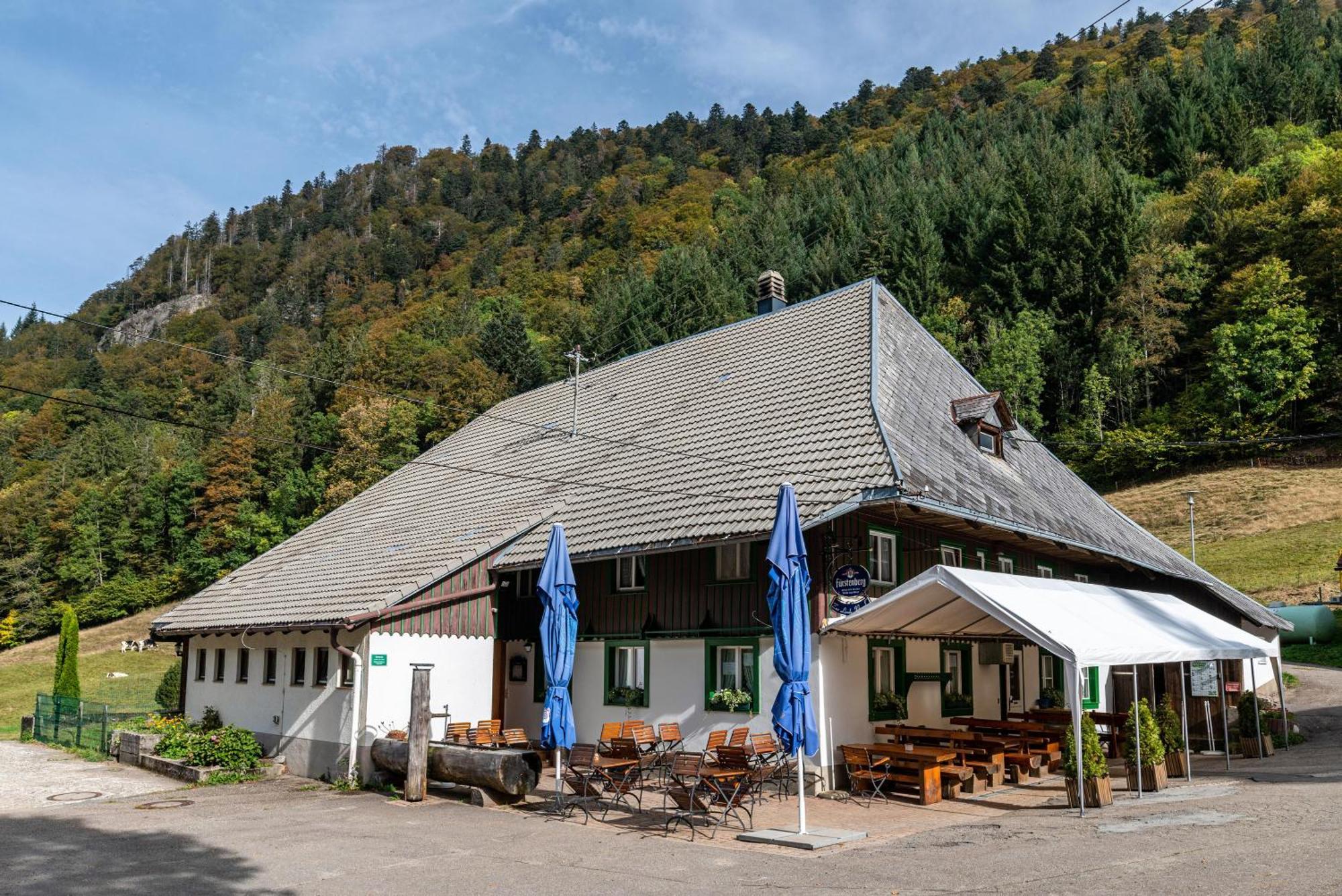 Zur Linde- Napf Oberried (Breisgau)