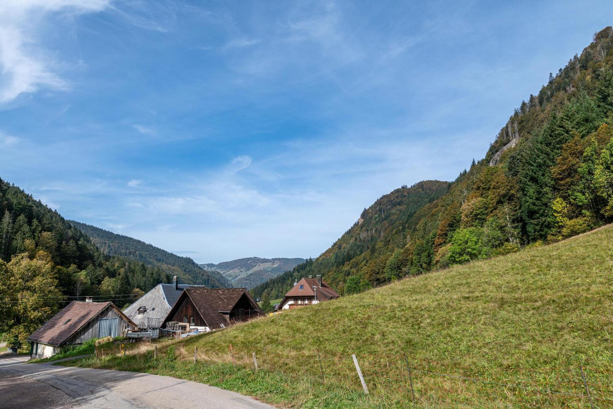 Zur Linde- Napf Appartement