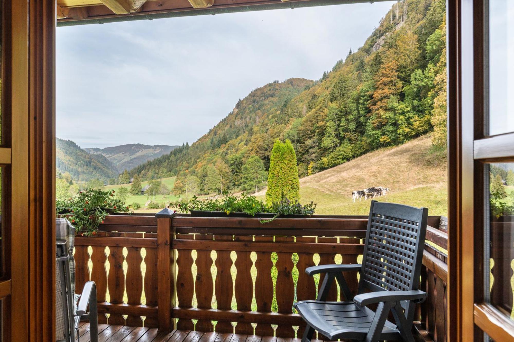 Zur Linde- Napf Appartement Oberried (Breisgau)
