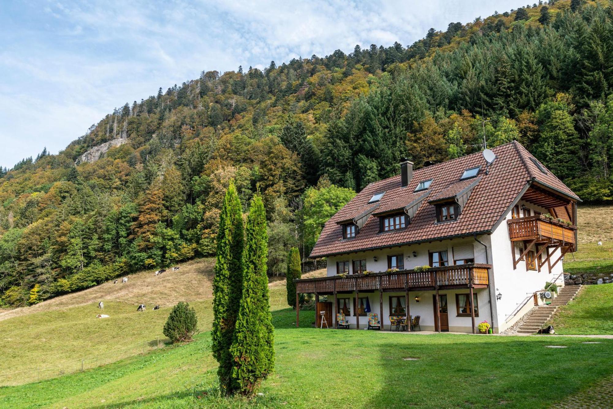 Zur Linde- Napf Appartement