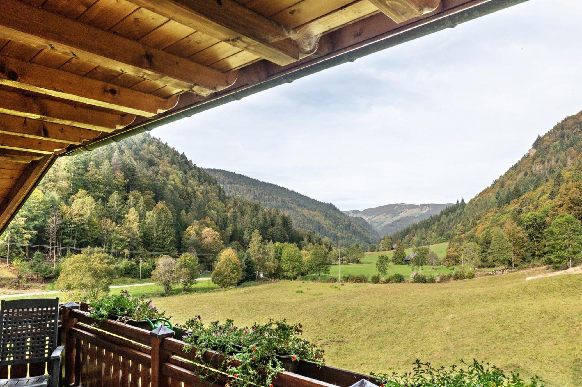 Zur Linde- Napf Appartement